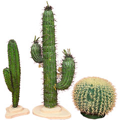faux cactus en plastique